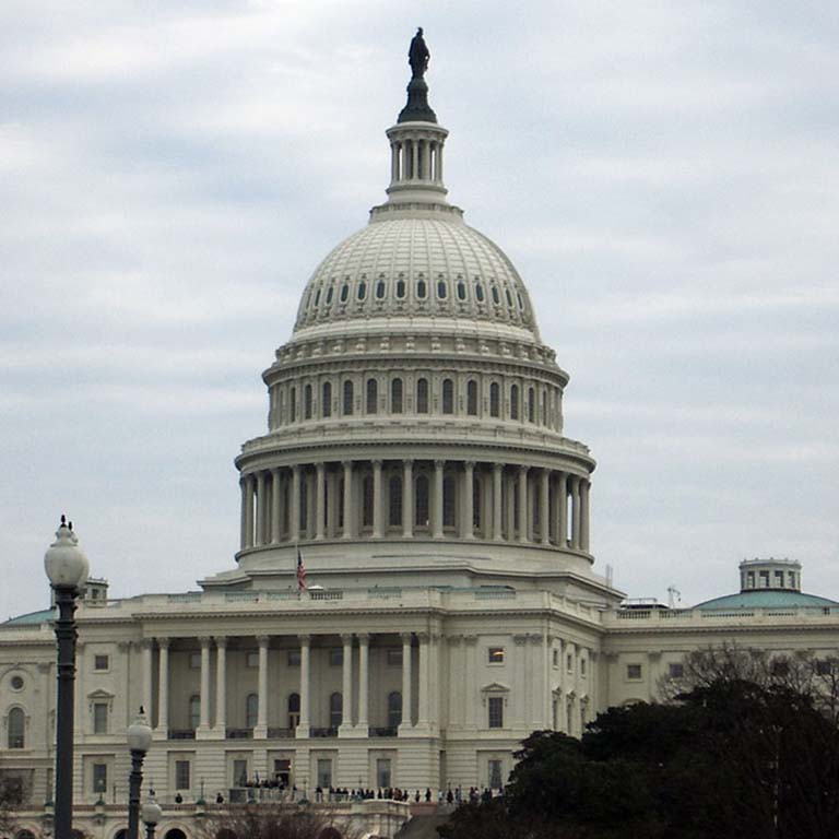U.S. capitol building dome.