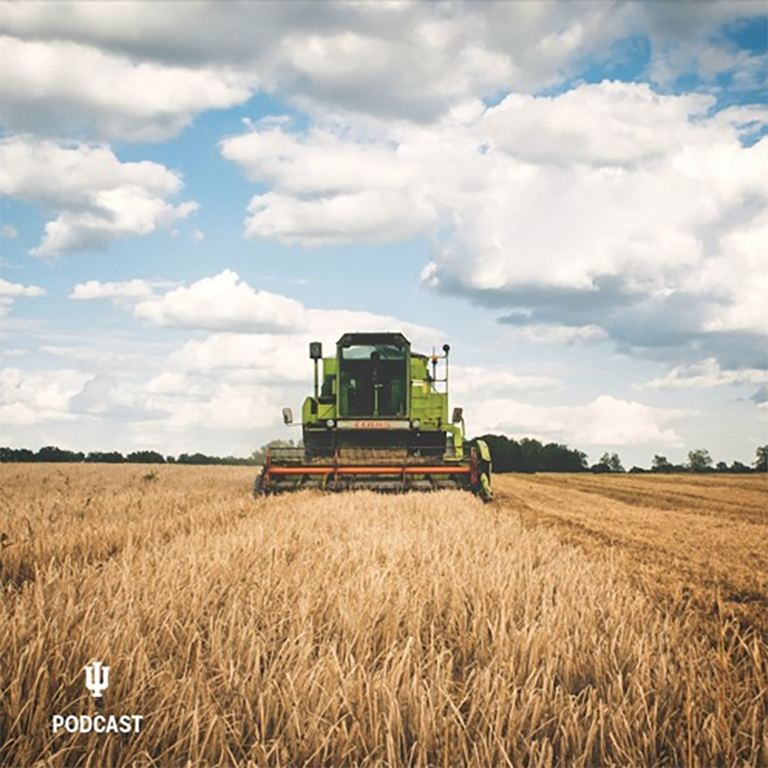 Combine in field harvesting wheat.